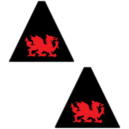 The Black Rover - Sign End Panels